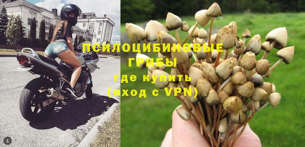 ALPHA PVP Кукмор