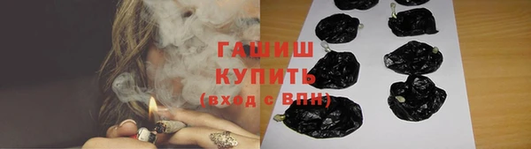 сатива Кулебаки