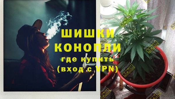 дживик Ладушкин