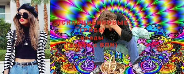 сатива Кулебаки