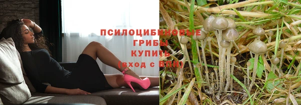 сатива Кулебаки