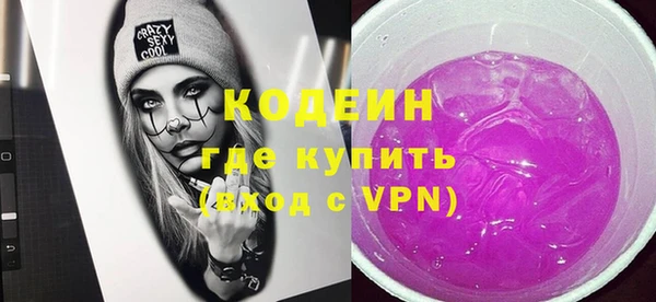 сатива Кулебаки