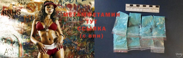 сатива Кулебаки