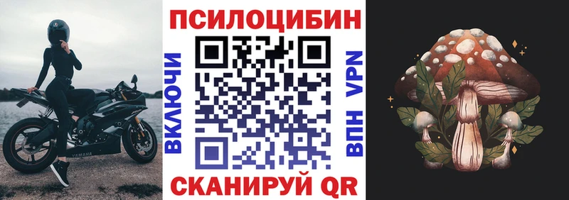 даркнет сайт  Кяхта  Псилоцибиновые грибы Psilocybine cubensis 